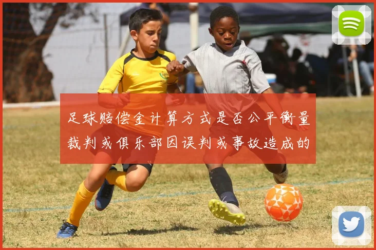 足球赔偿金计算方式是否公平衡量裁判或俱乐部因误判或事故造成的经济损失