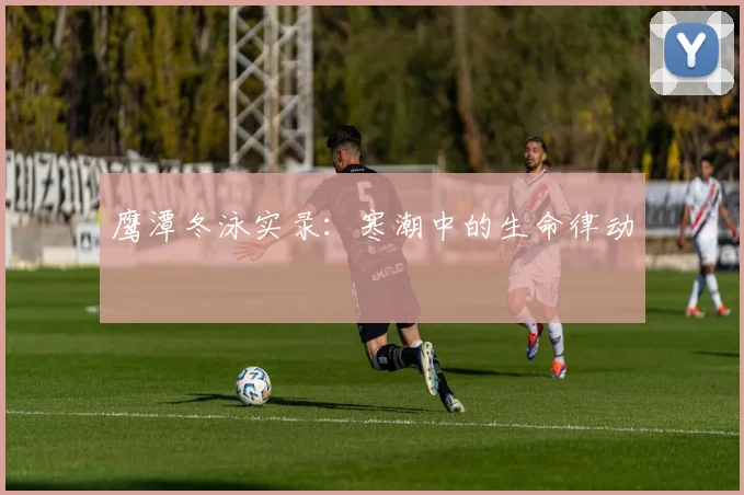 鹰潭冬泳实录：寒潮中的生命律动