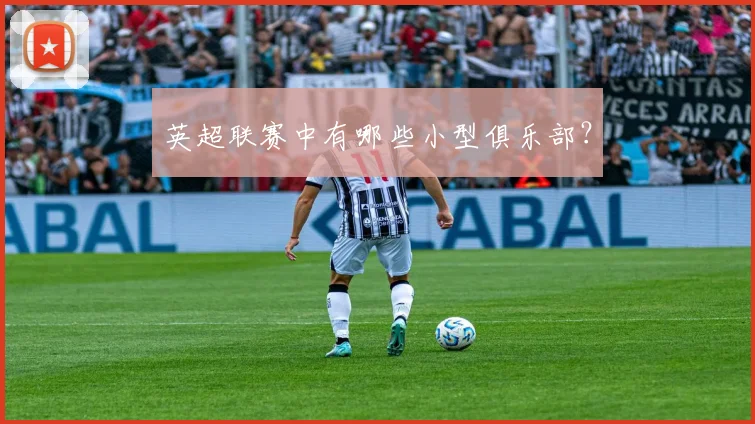 英超联赛中有哪些小型俱乐部？