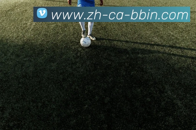 bbin宝盈平台生态图